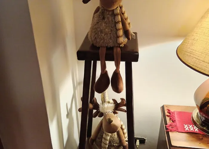 Per Chi Ama La Natura Lo Sci Di Fondo Appartement Pragelato